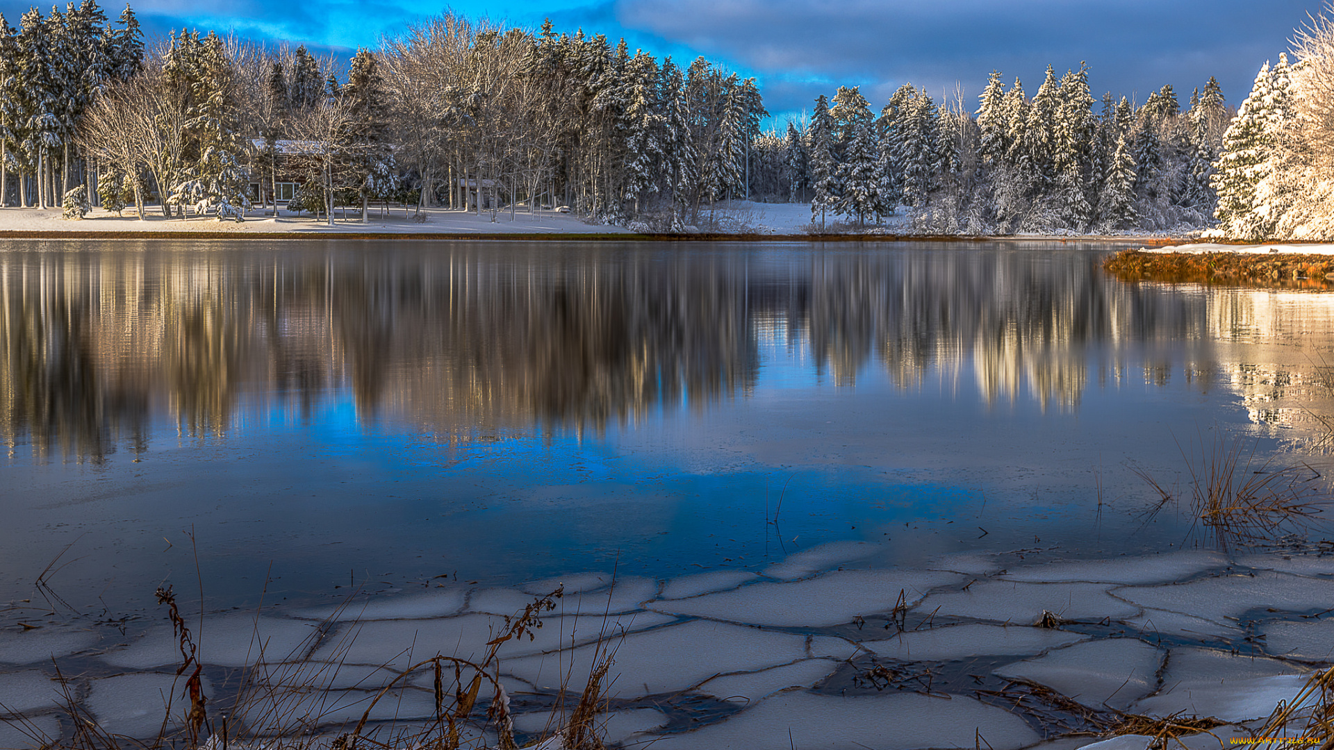 природа, реки, озера, деревья, река, зима, winter, view, snow, trees, river, зимний, пейзаж, снег
