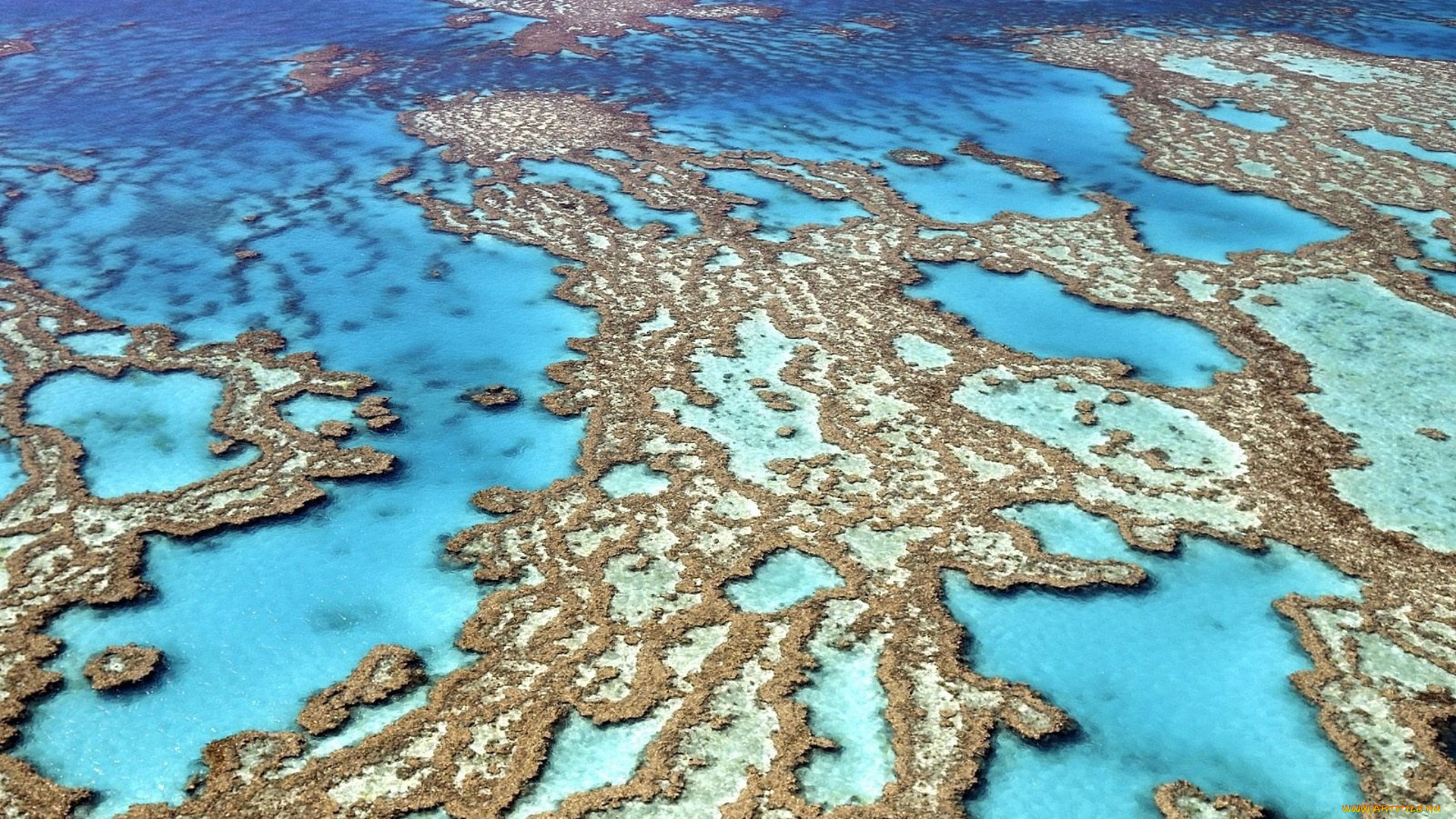 природа, реки, озера, острова, солончаки