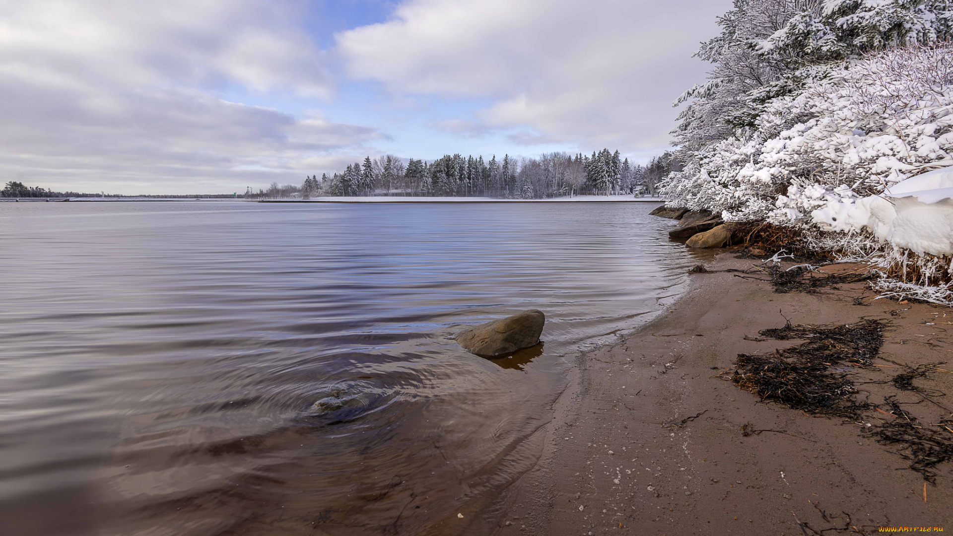 природа, реки, озера, река, snow, winter, trees, деревья, снег, зима, river