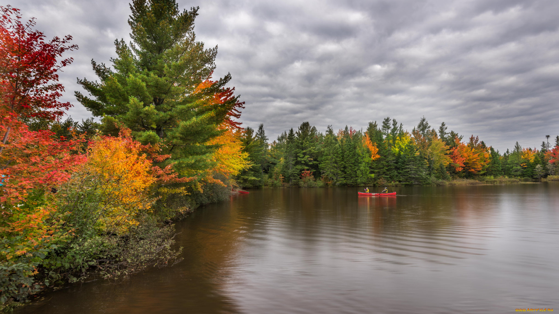 природа, реки, озера, river, autumn, красота, река, осень, beauty