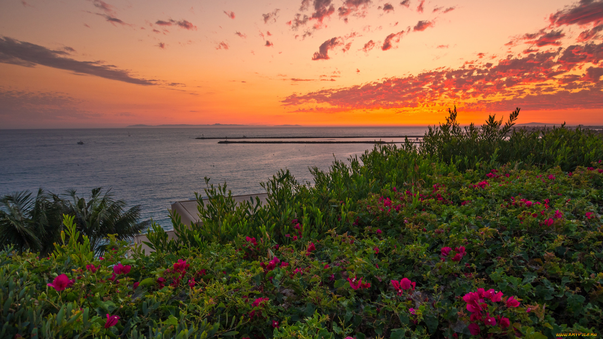 природа, восходы, закаты, рассвет