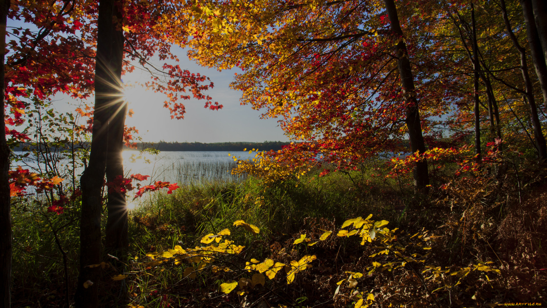 природа, восходы, закаты, заря
