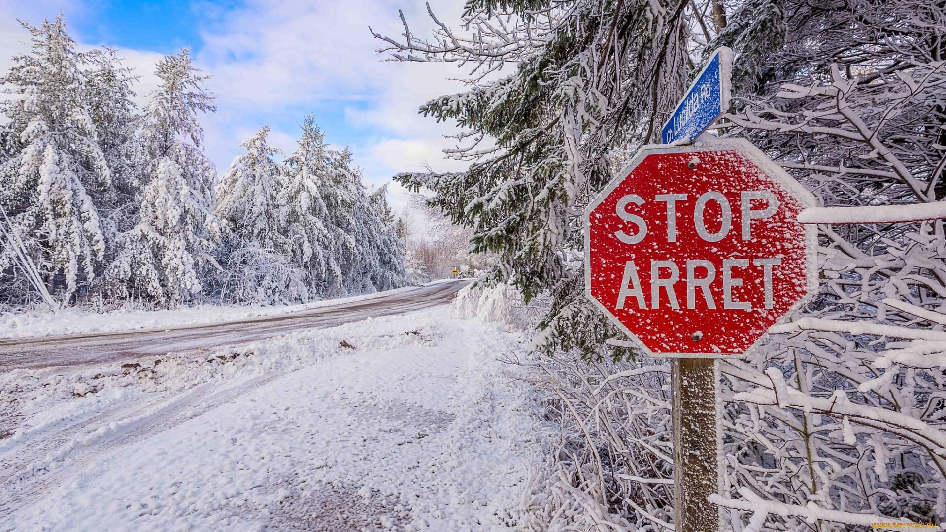 природа, зима, деревья, snow, road, снег, дорога, winter, trees