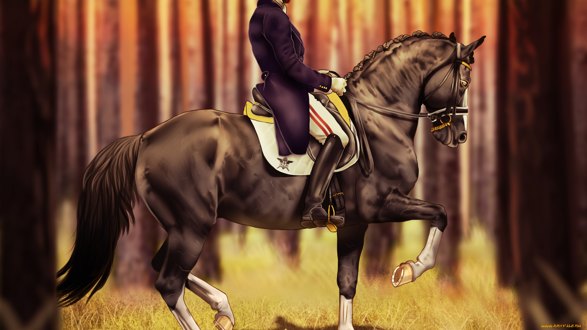 рисованное, животные, , лошади, всадник, фон, лошадь