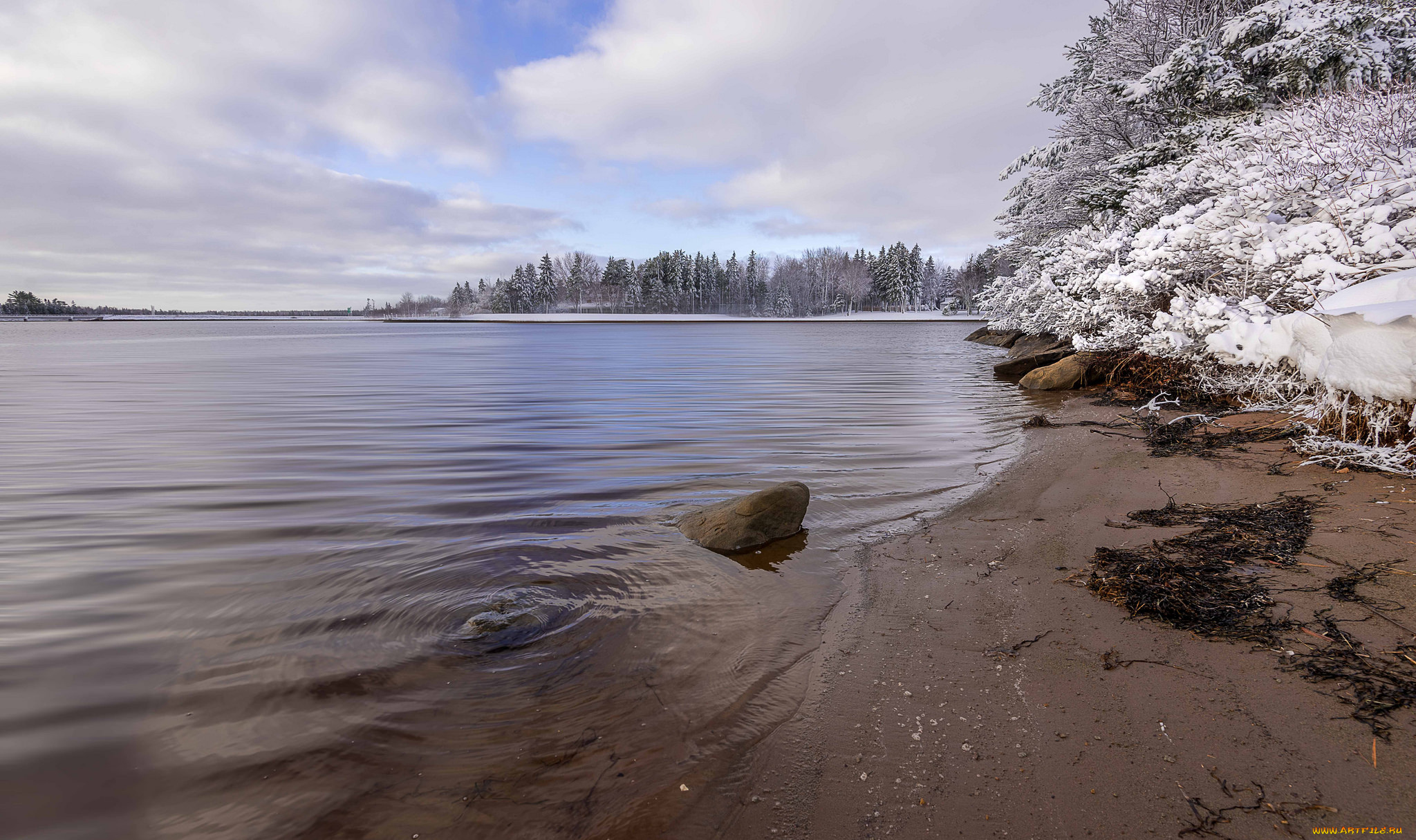 природа, реки, озера, река, snow, winter, trees, деревья, снег, зима, river