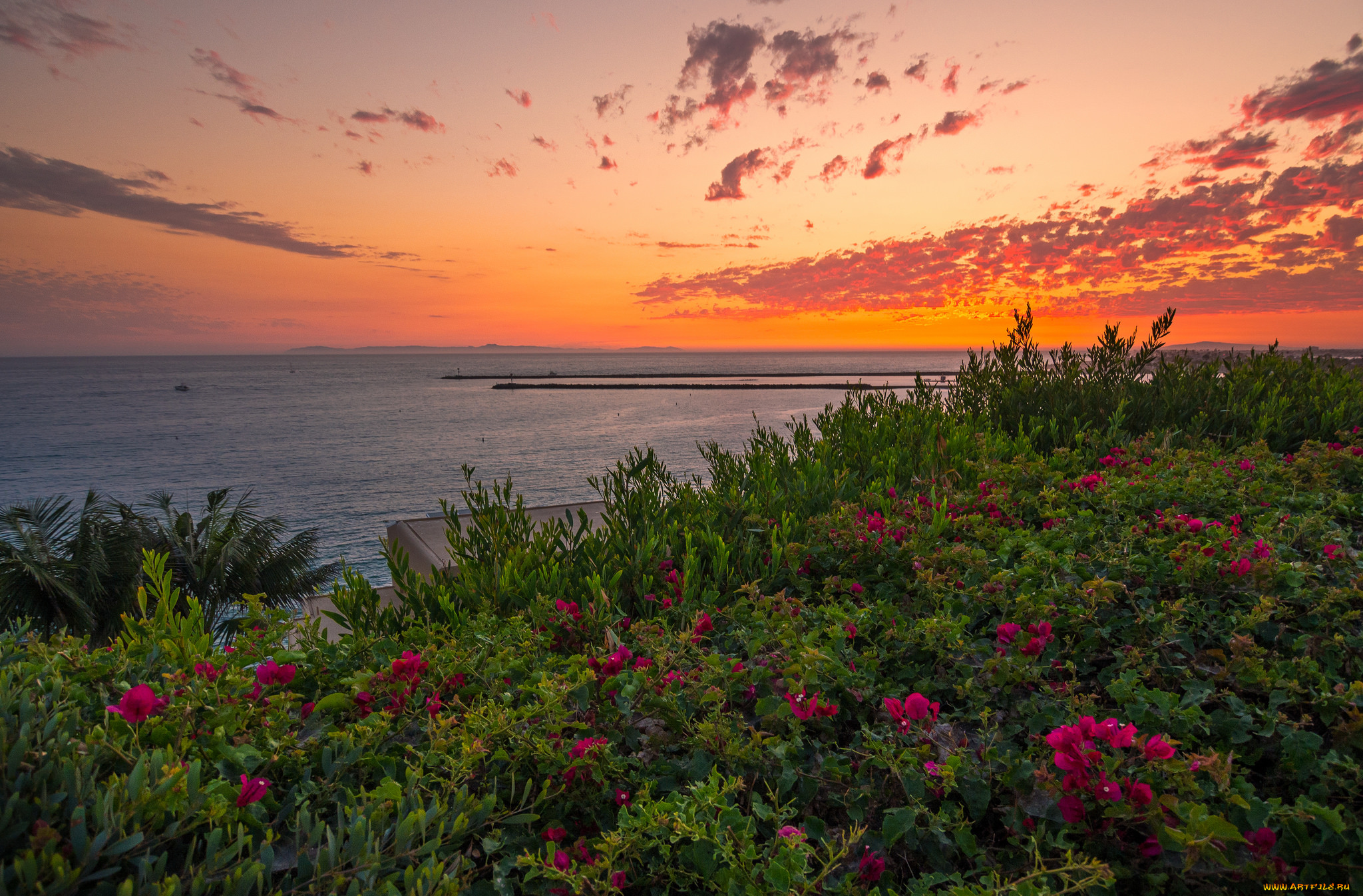 природа, восходы, закаты, рассвет
