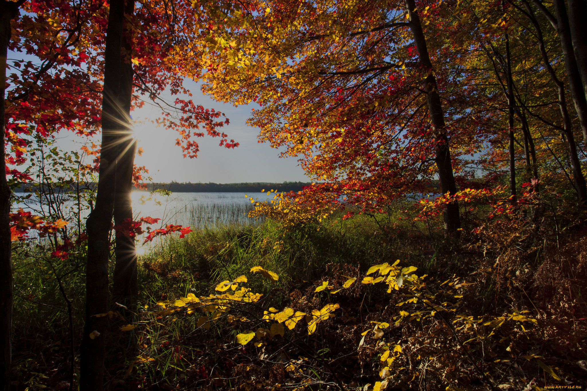 природа, восходы, закаты, заря