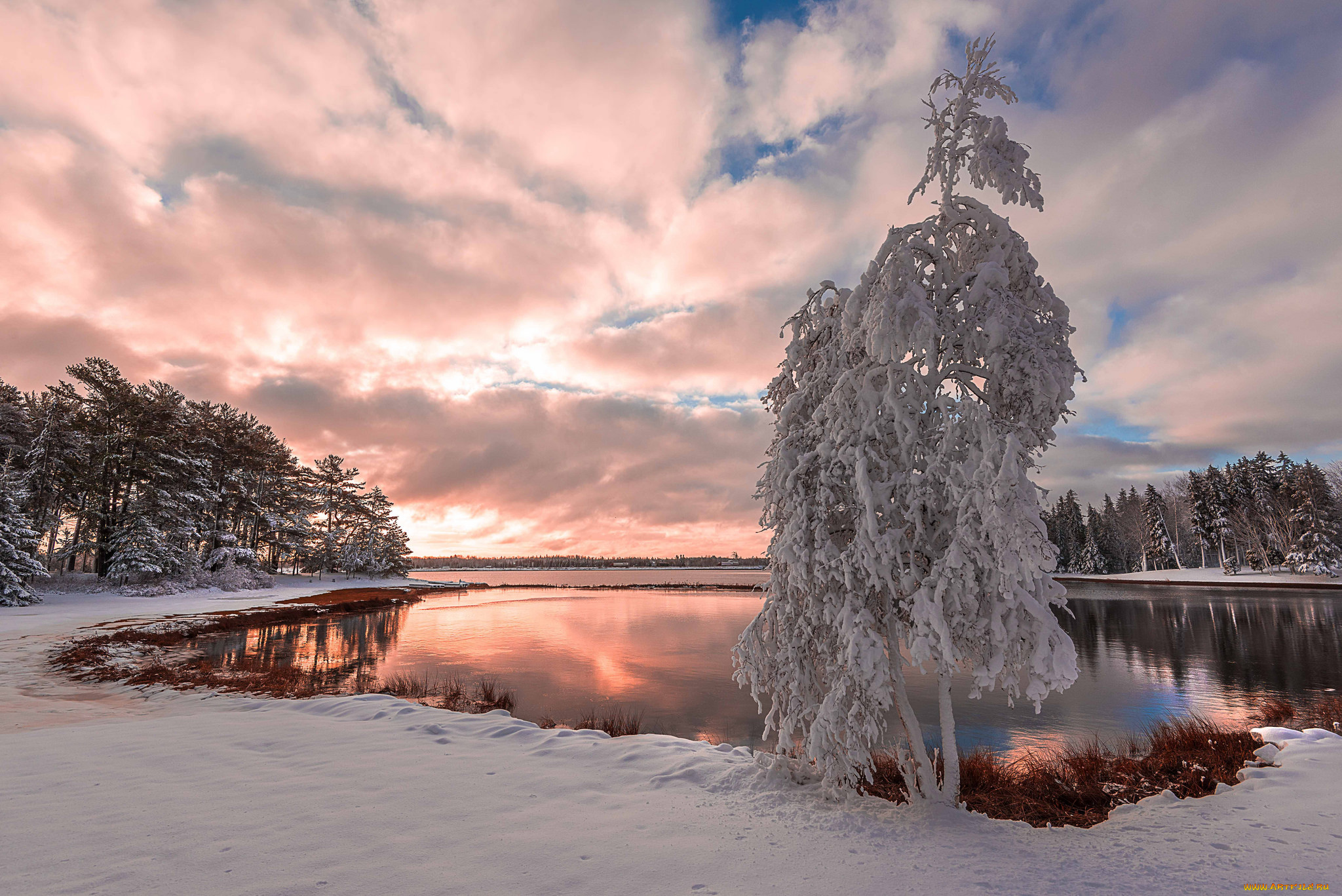 природа, зима, снег, дерево, snow, озеро, tree, lake, зимний, пейзаж, winter, landscape