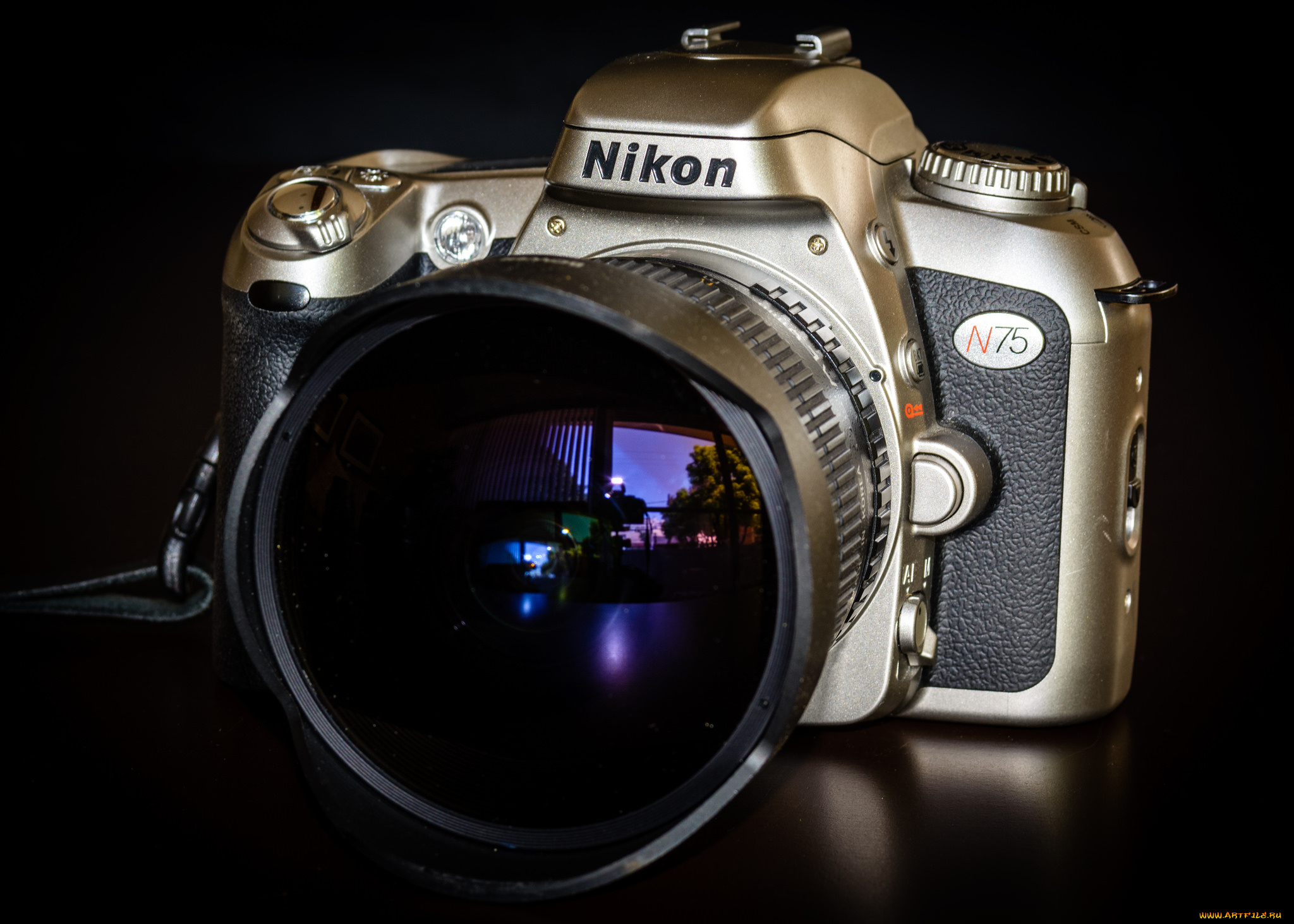 бренды, nikon, фотокамера