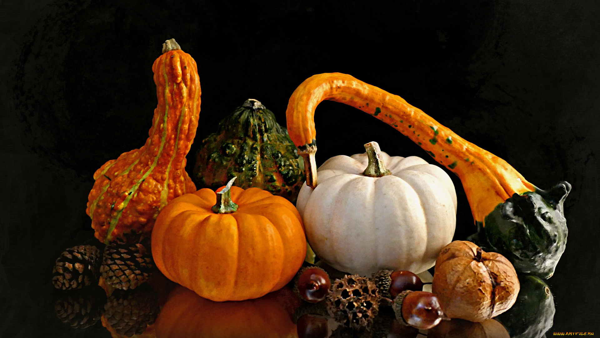 еда, тыква, урожай