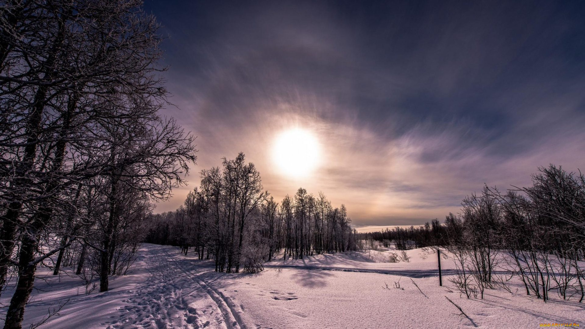 природа, зима, закат, снег, деревья, пейзаж
