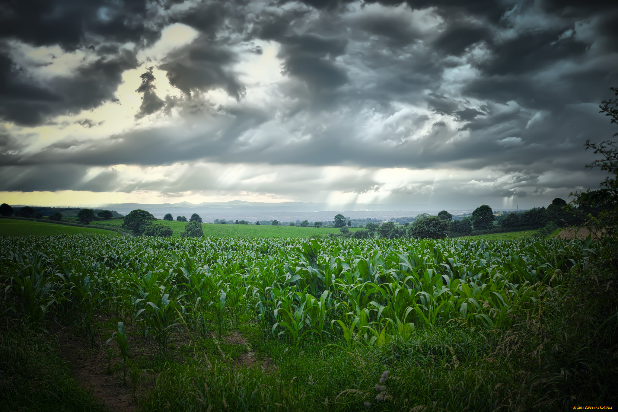 природа, пейзажи, простор