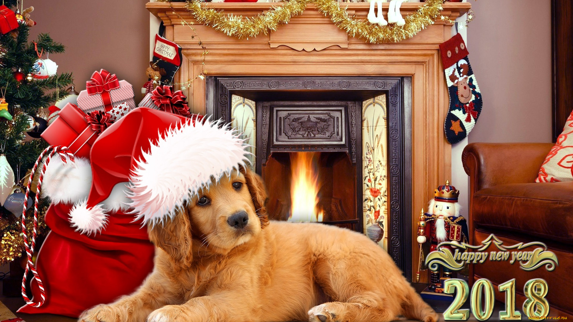 животные, собаки, happy, new, year, новый, год, 2018