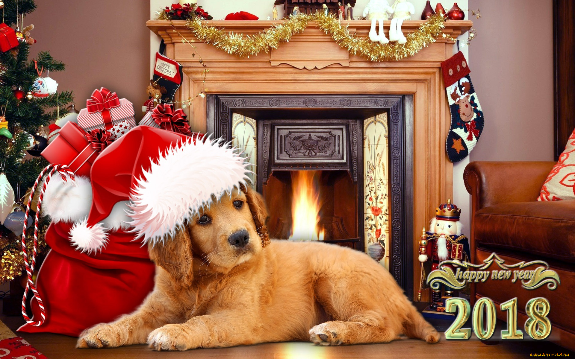 животные, собаки, happy, new, year, новый, год, 2018