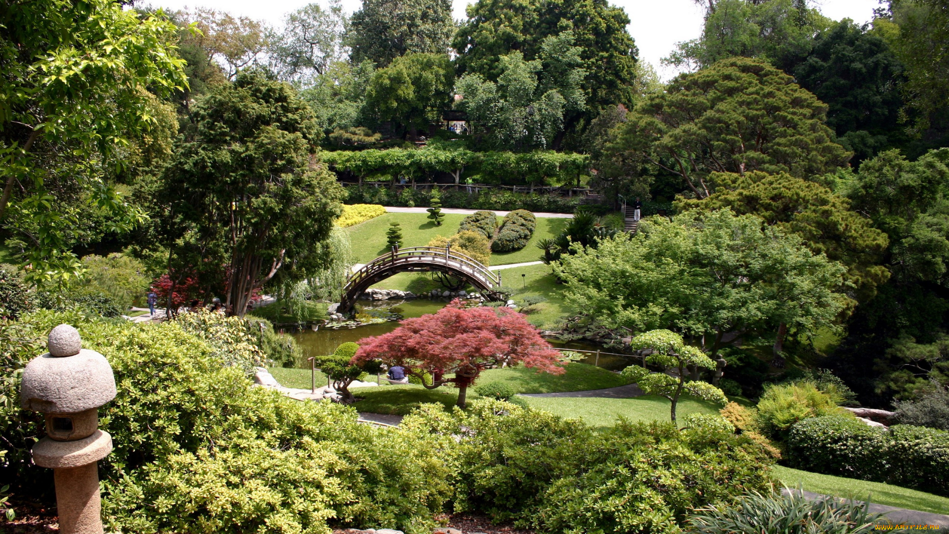 природа, парк