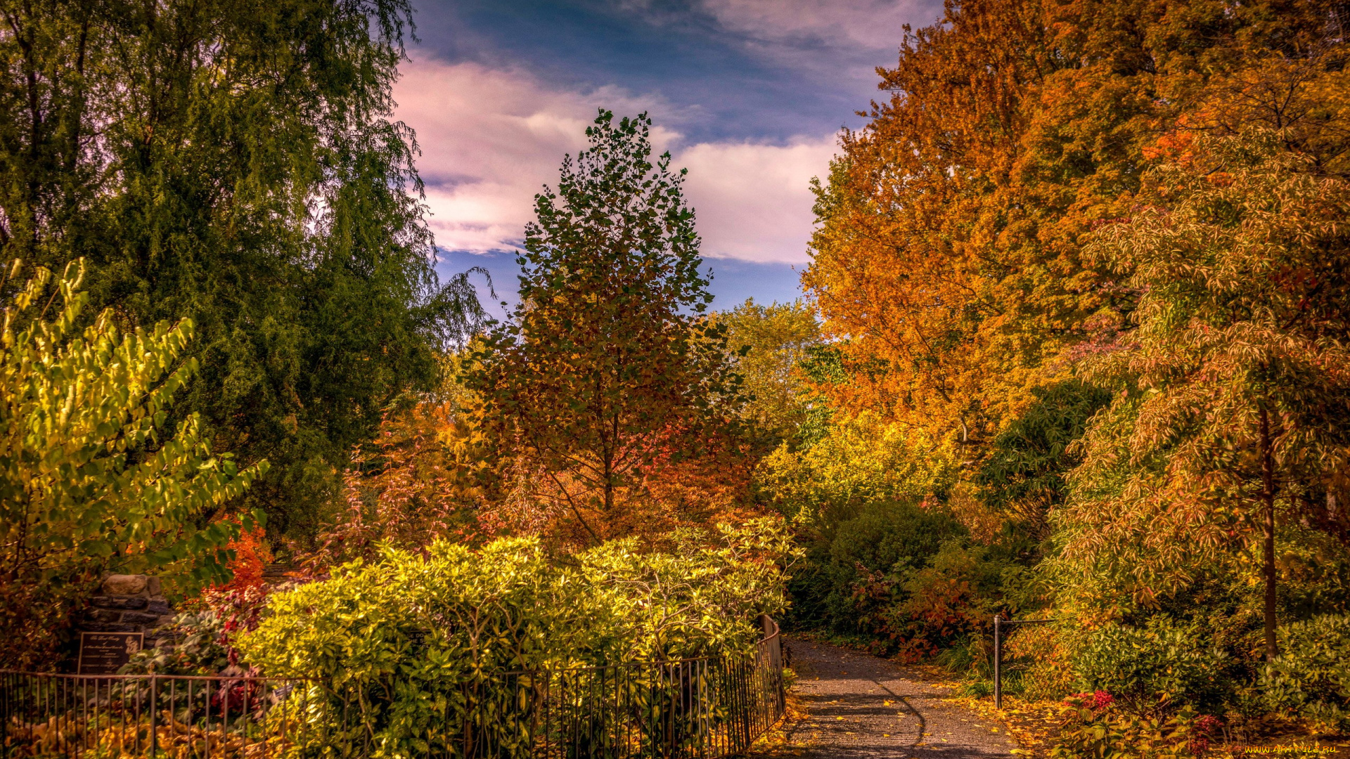 природа, парк