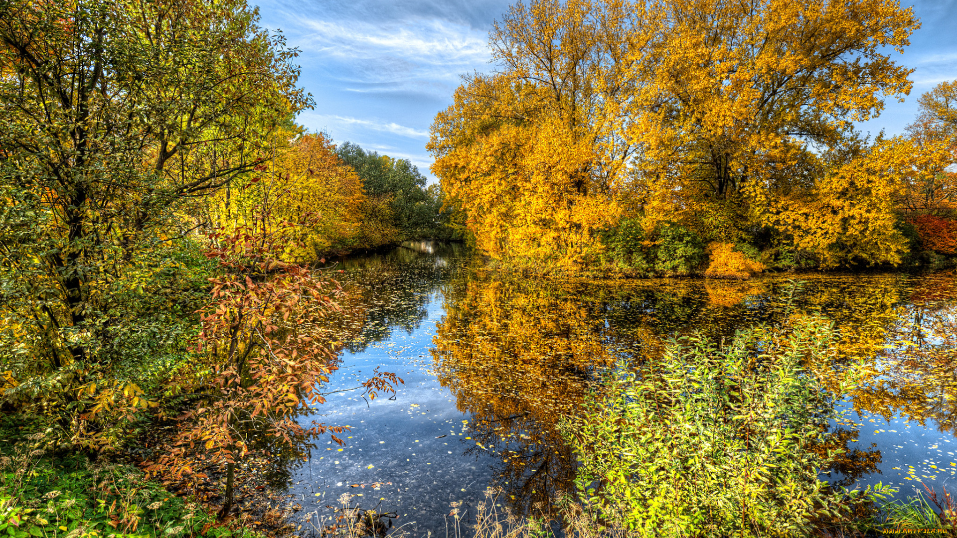 природа, реки, озера, простор