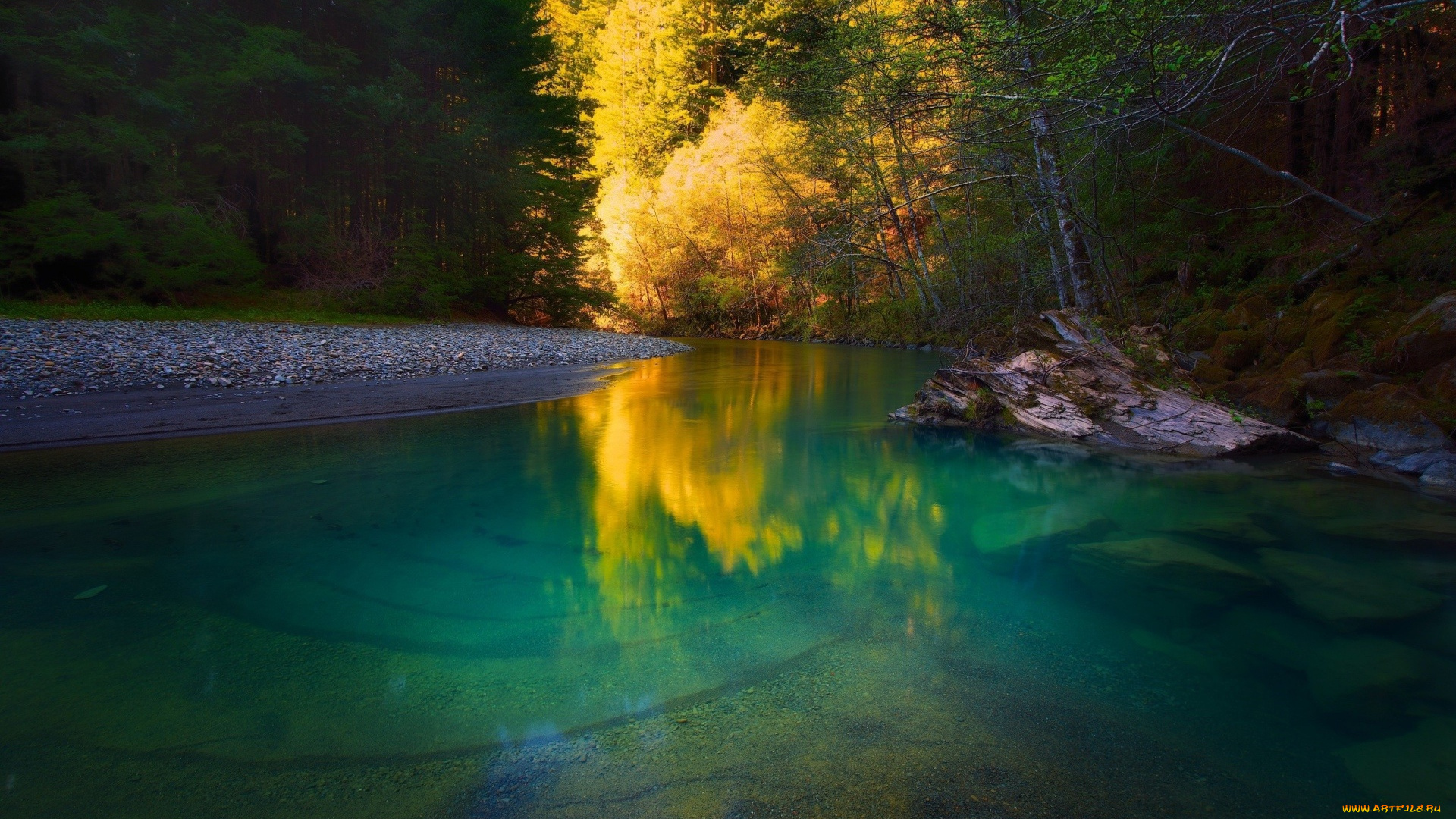 природа, реки, озера, река