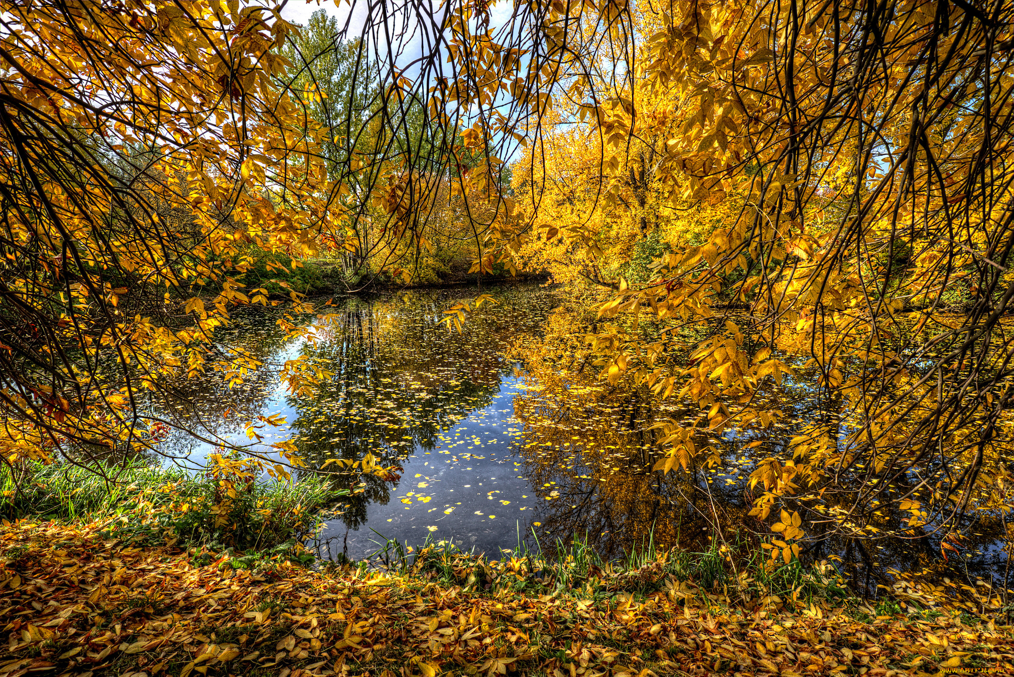 природа, реки, озера, простор