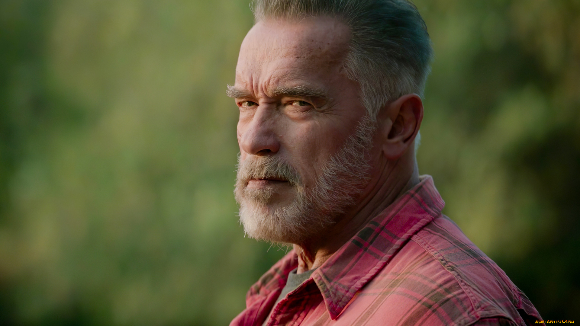 мужчины, arnold, schwarzenegger, арнольд, алоис, шварценеггер, культурист, предприниматель, актер, продюсер, политический, деятель