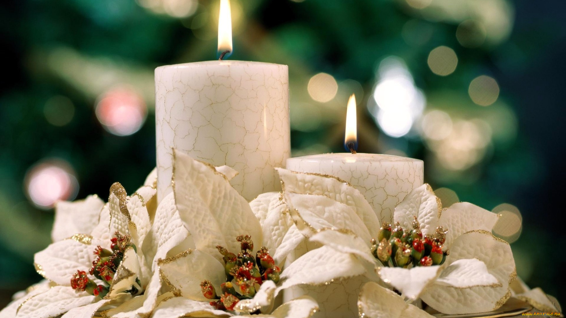 праздничные, новогодние, свечи, свечи, цветы, блики