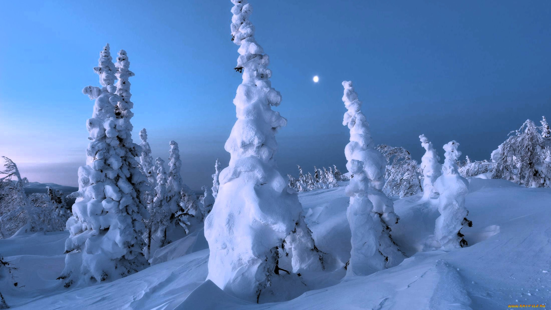 природа, зима, деревья, склон, снег