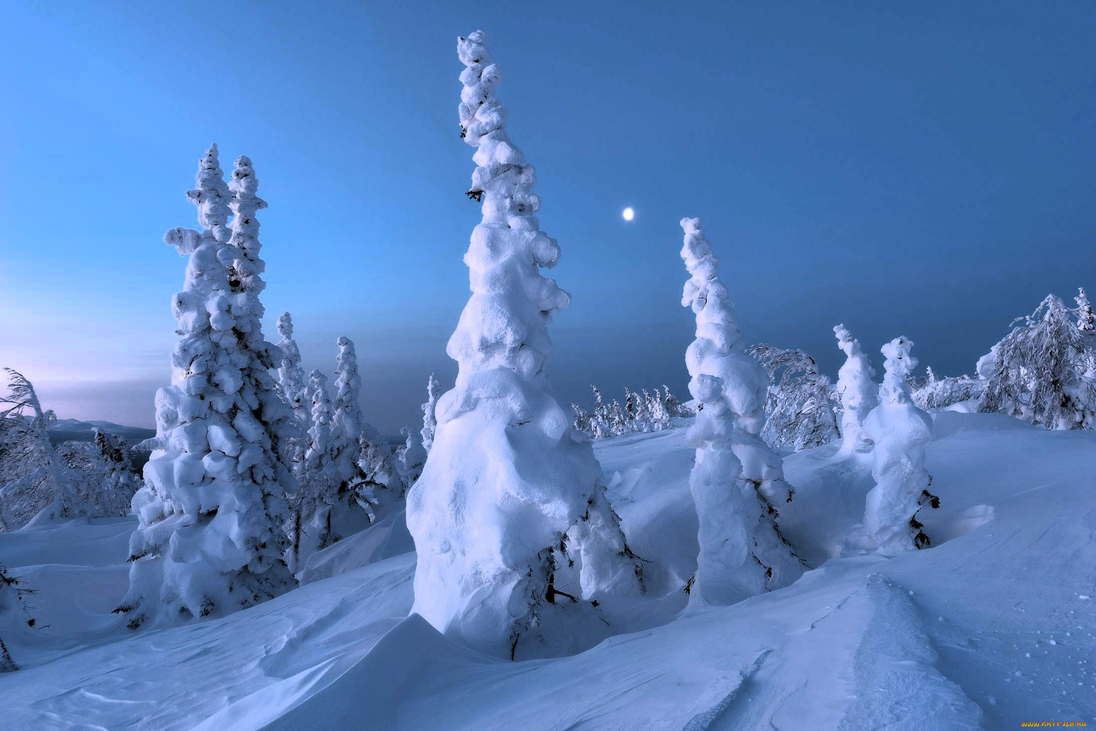 природа, зима, деревья, склон, снег