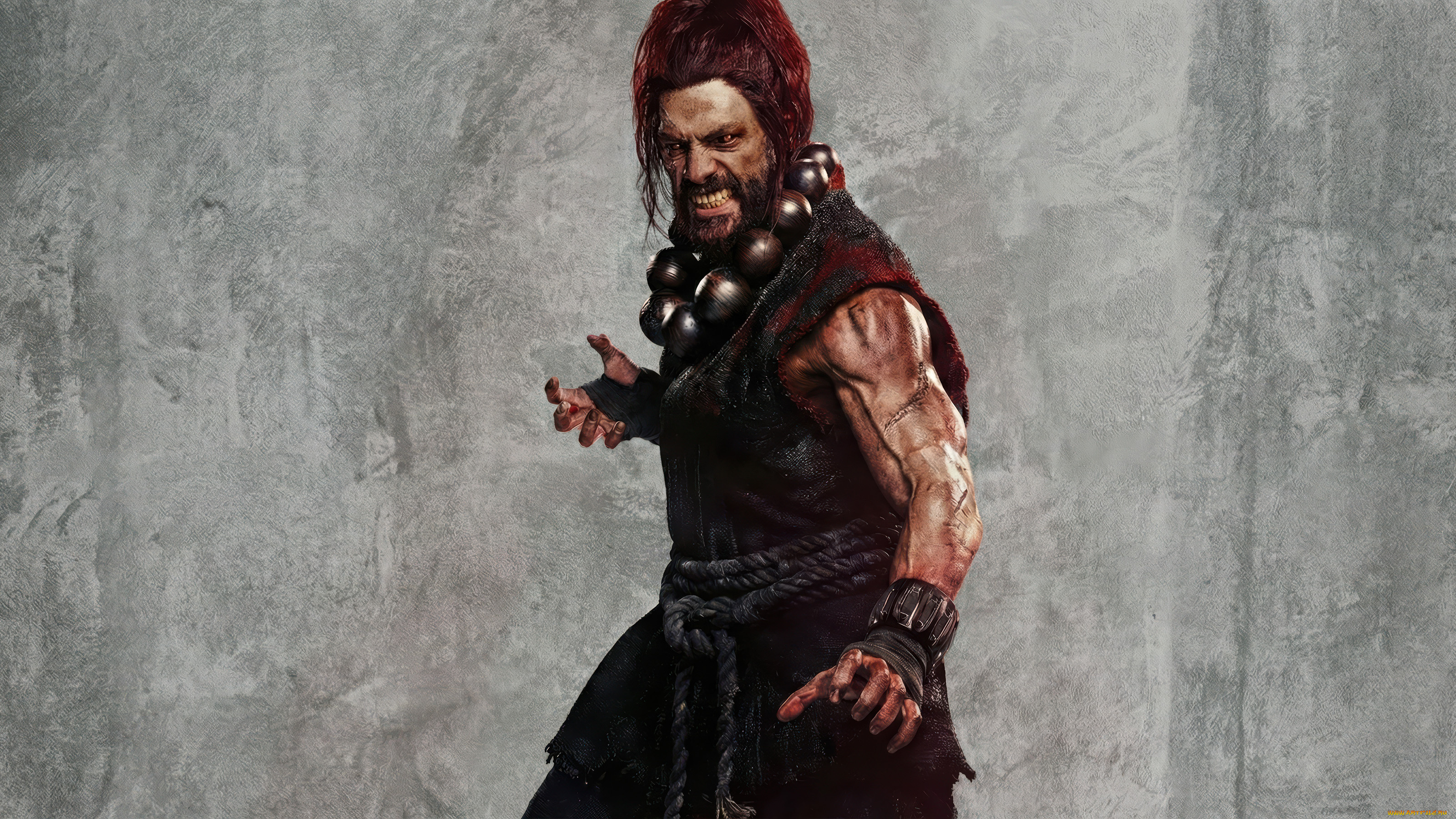 street, fighter, кино, фильмы, street, fighter, уличный, боец, 2026, roman, reigns, akuma