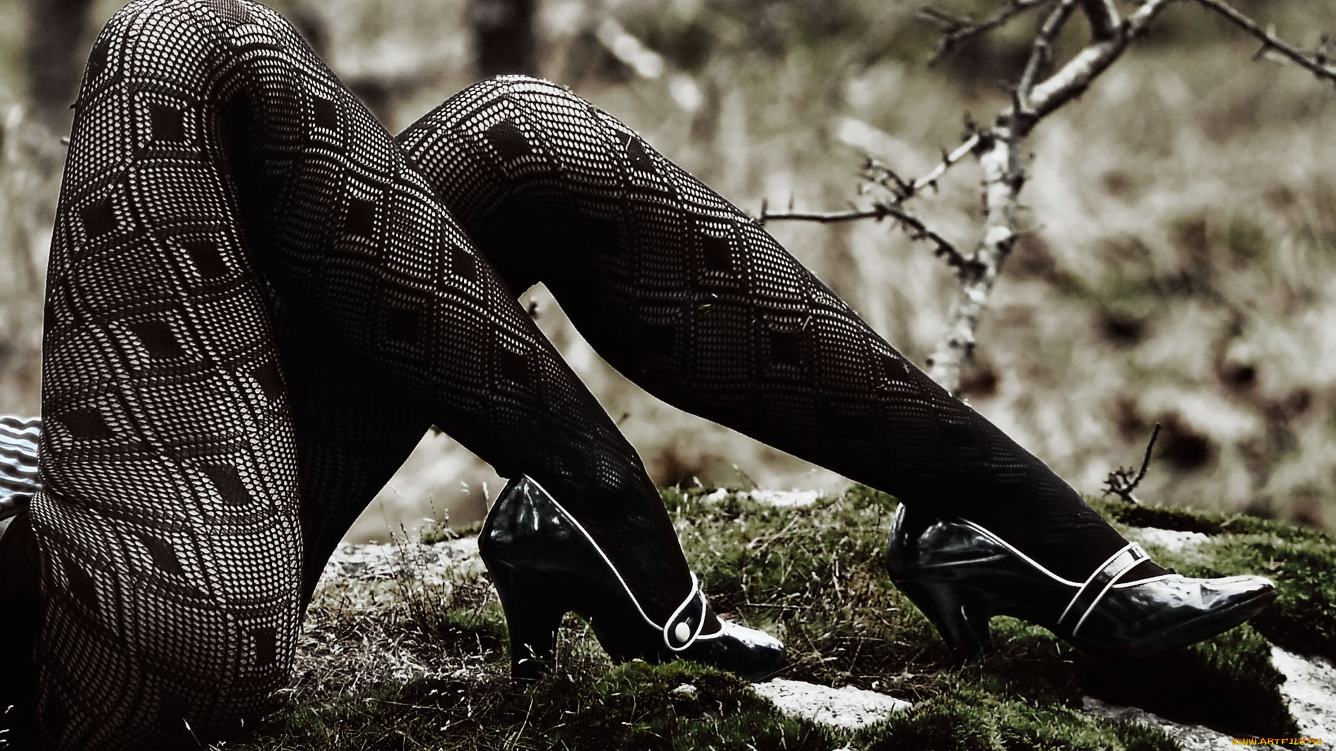 -Unsort, Женские, прелести, девушки, unsort, женские, прелести