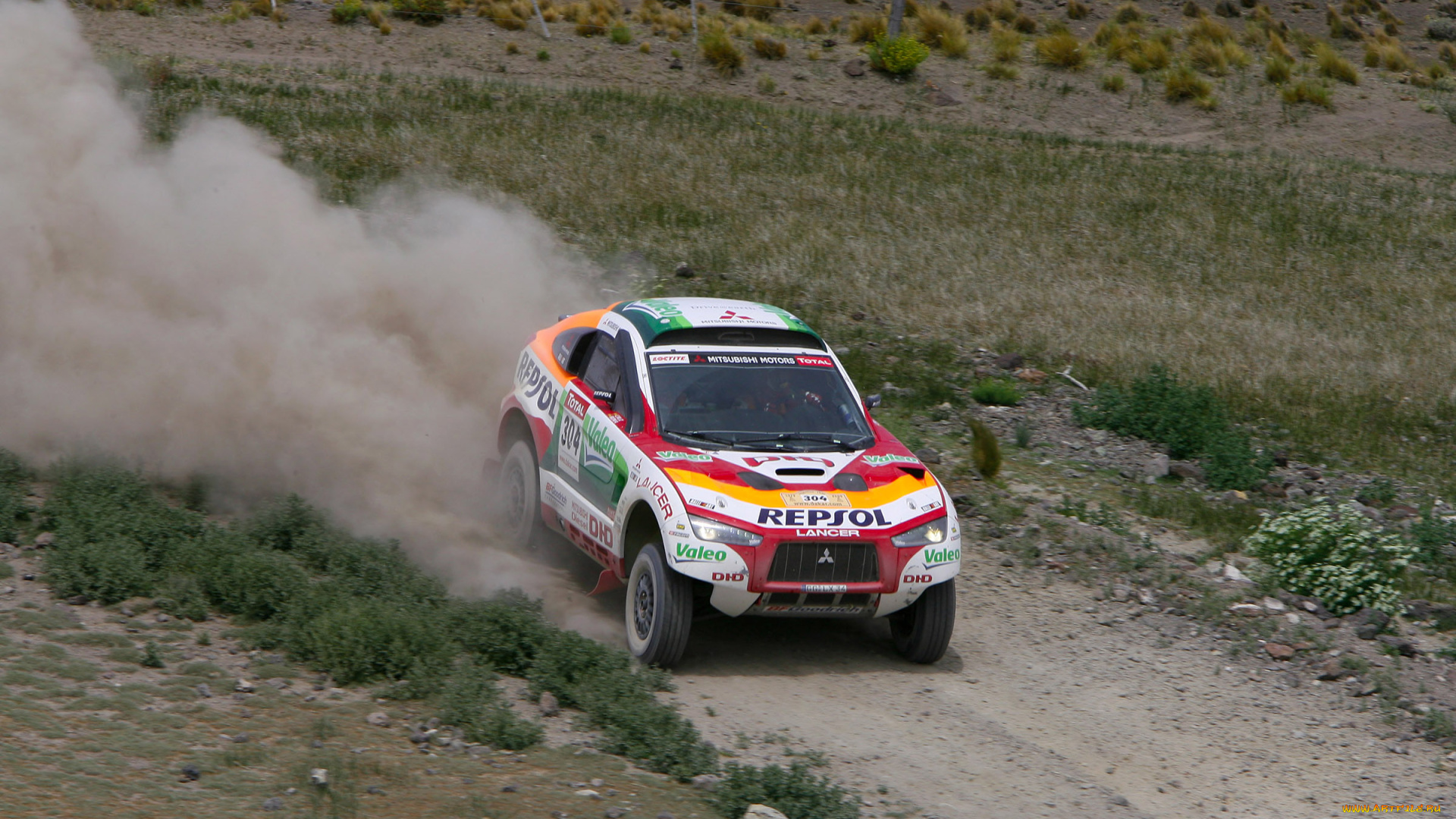 спорт, авторалли