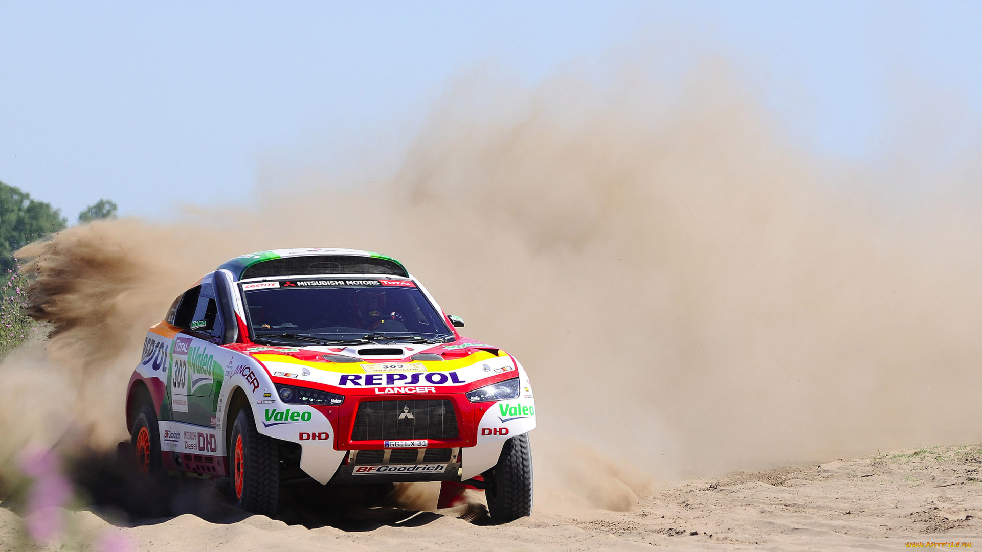 спорт, авторалли