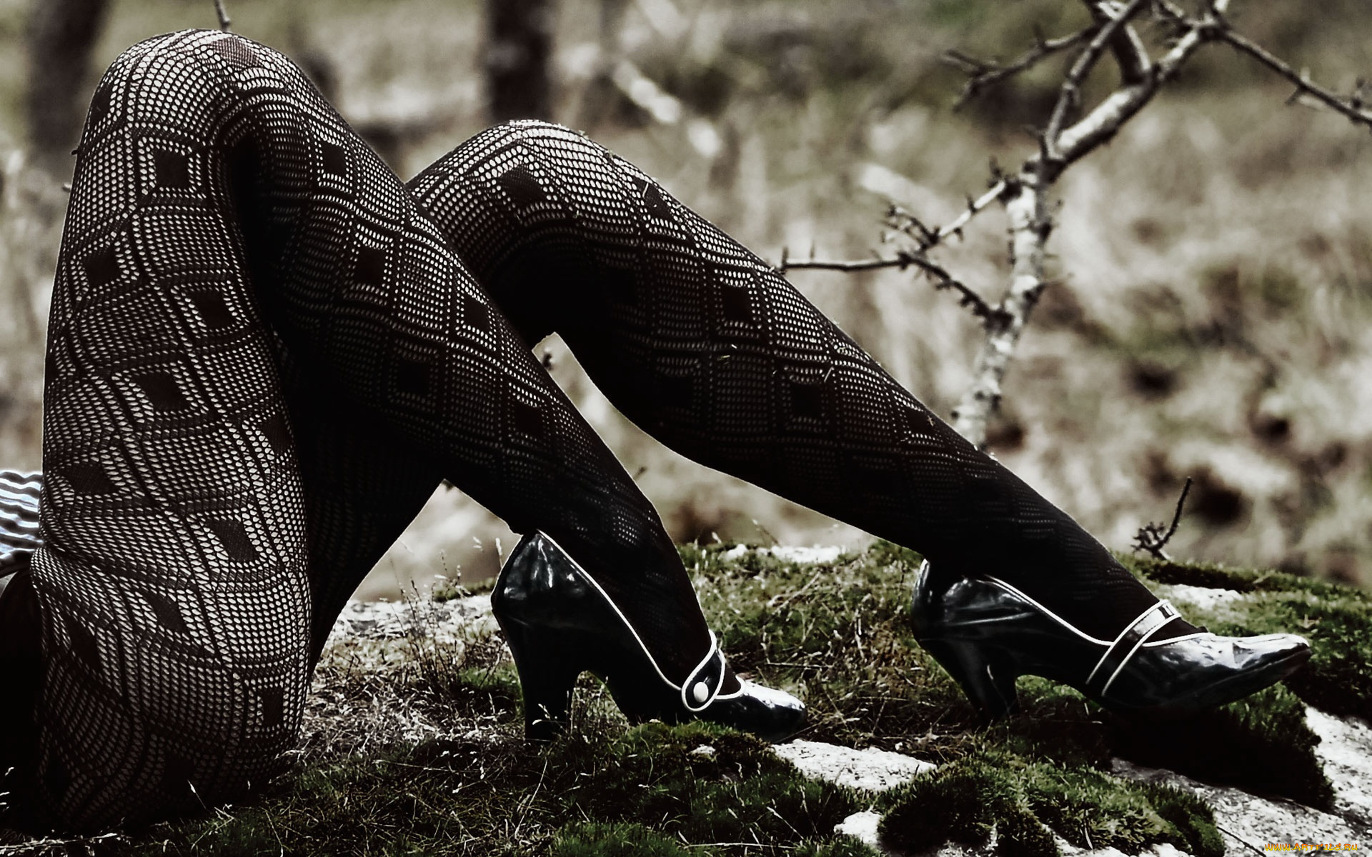 -Unsort, Женские, прелести, девушки, unsort, женские, прелести