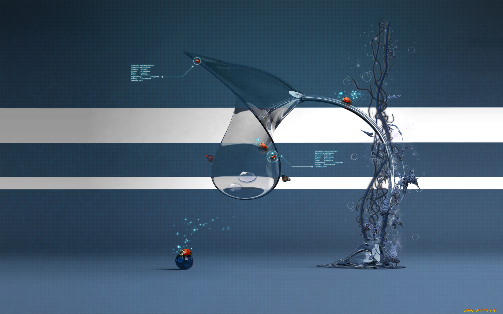 3д, графика, abstract, абстракции