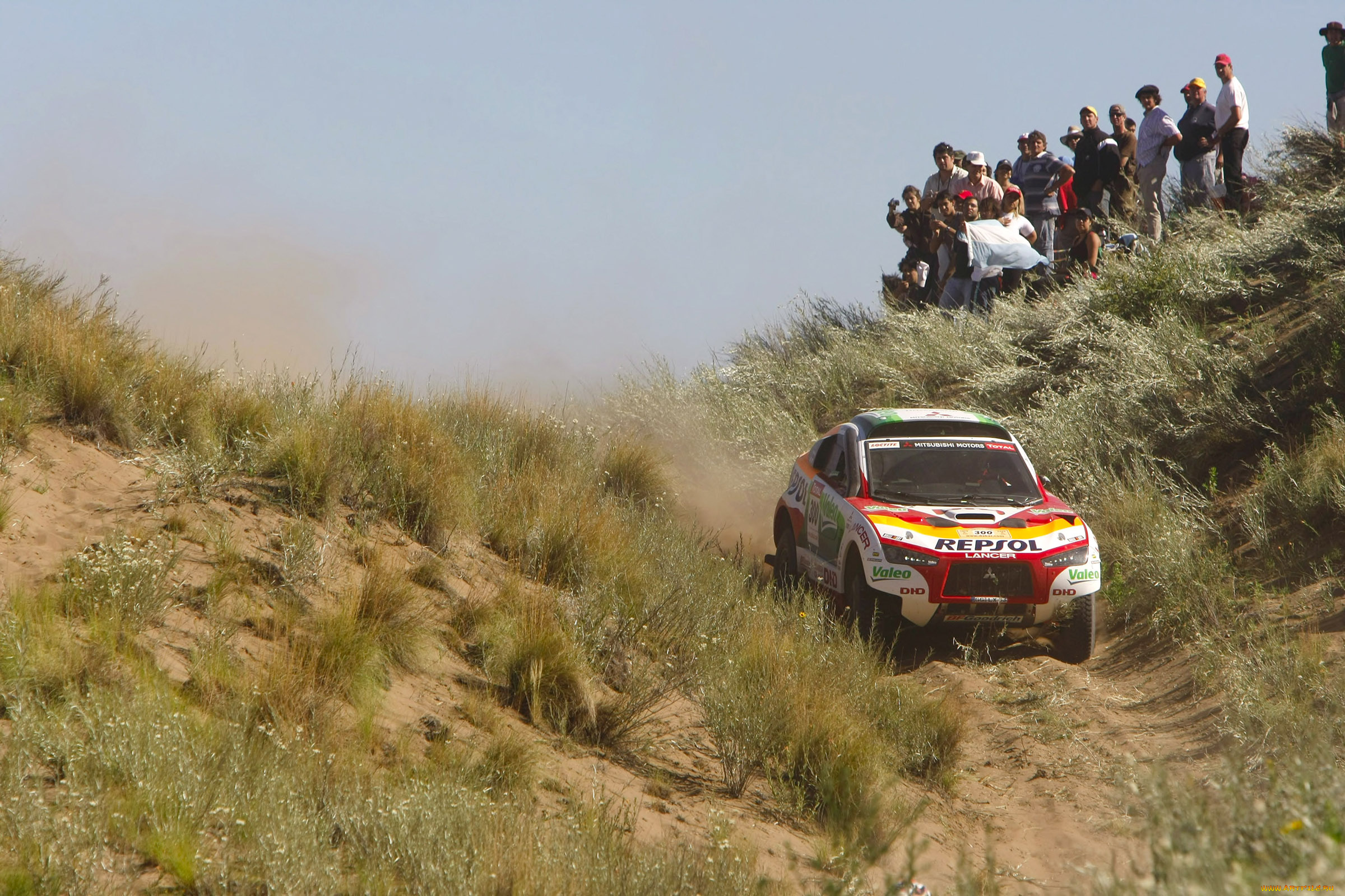 спорт, авторалли