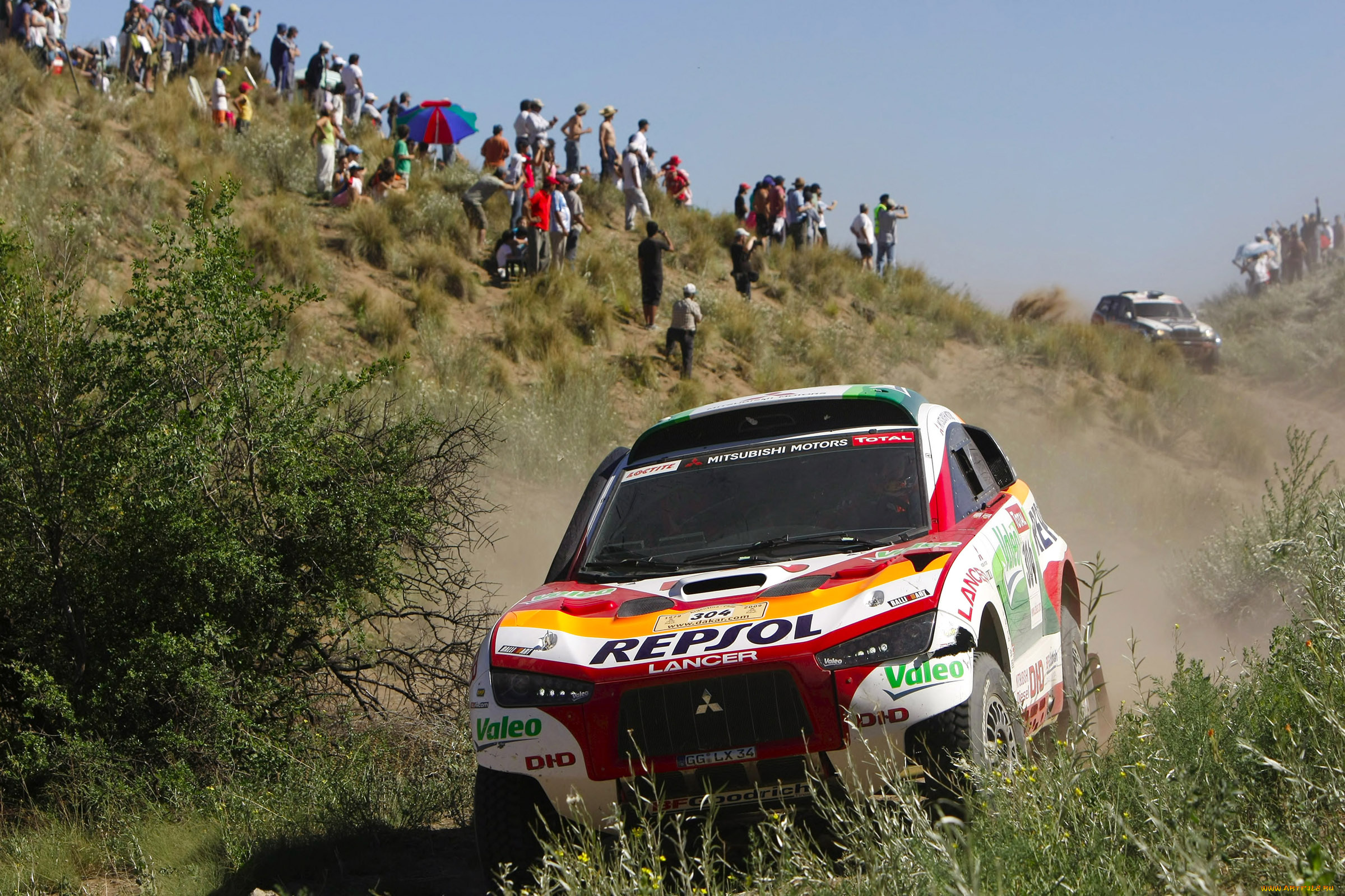 спорт, авторалли