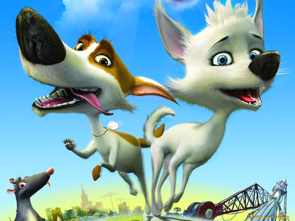 звёздные, собаки, белка, стрелка, мультфильмы