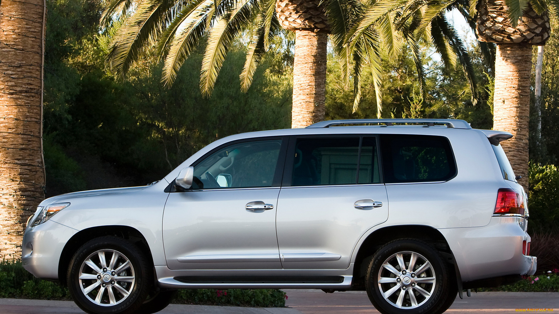 автомобили, lexus