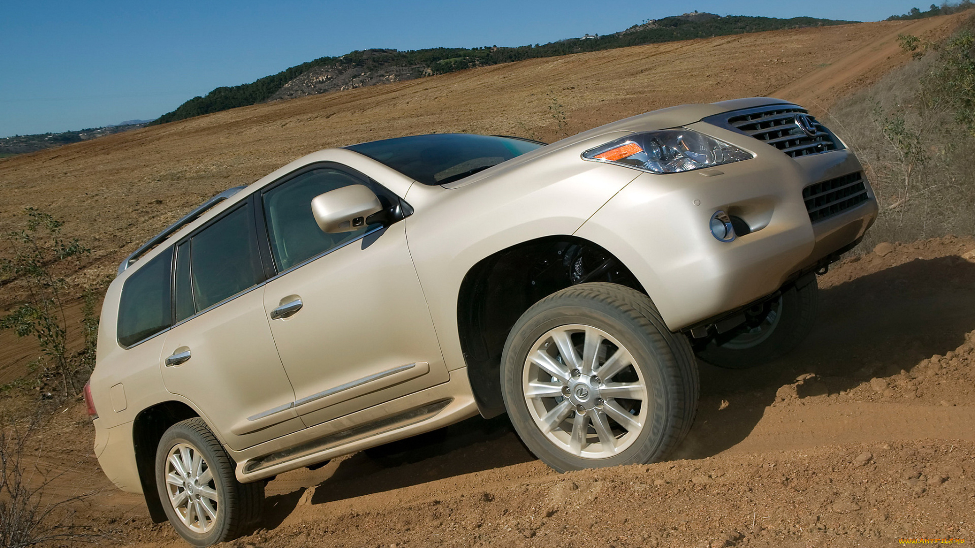 автомобили, lexus