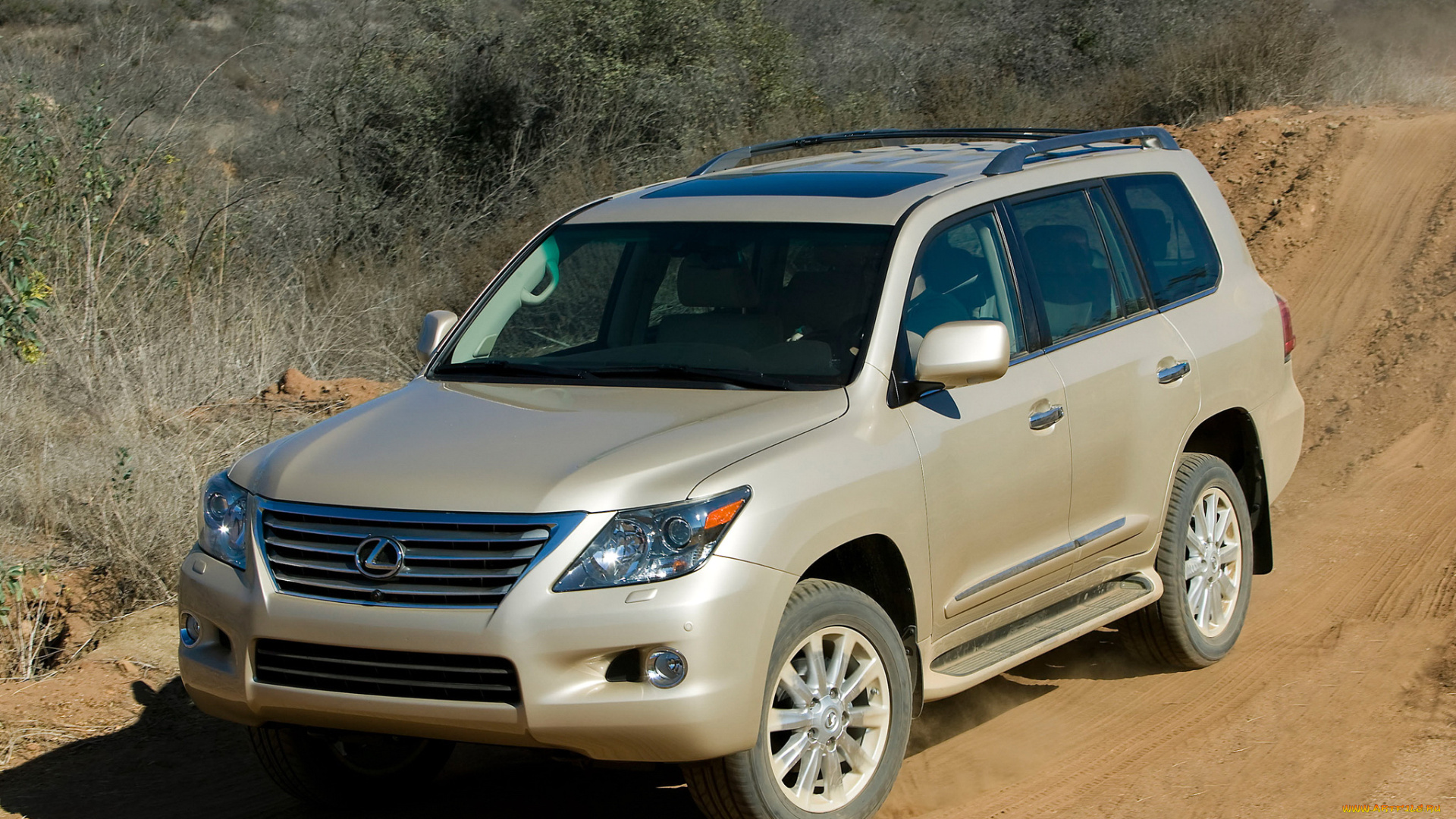 автомобили, lexus