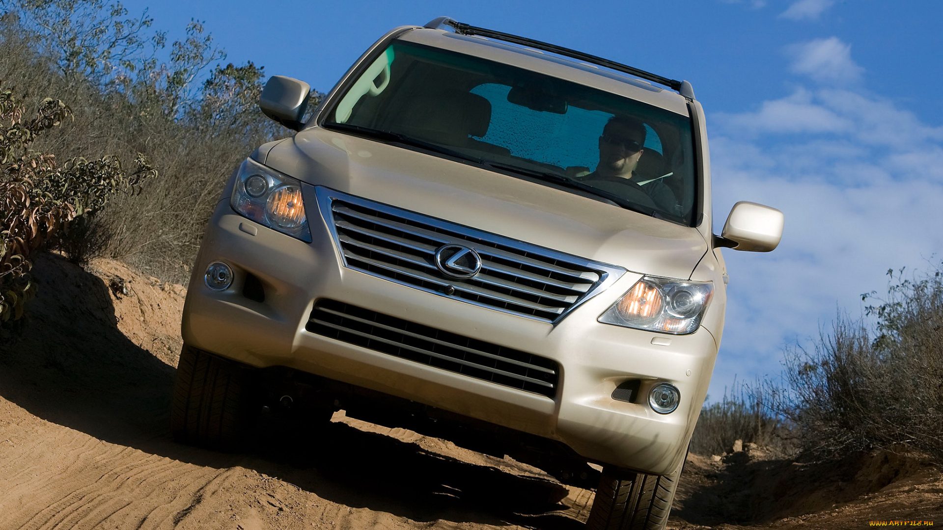 автомобили, lexus