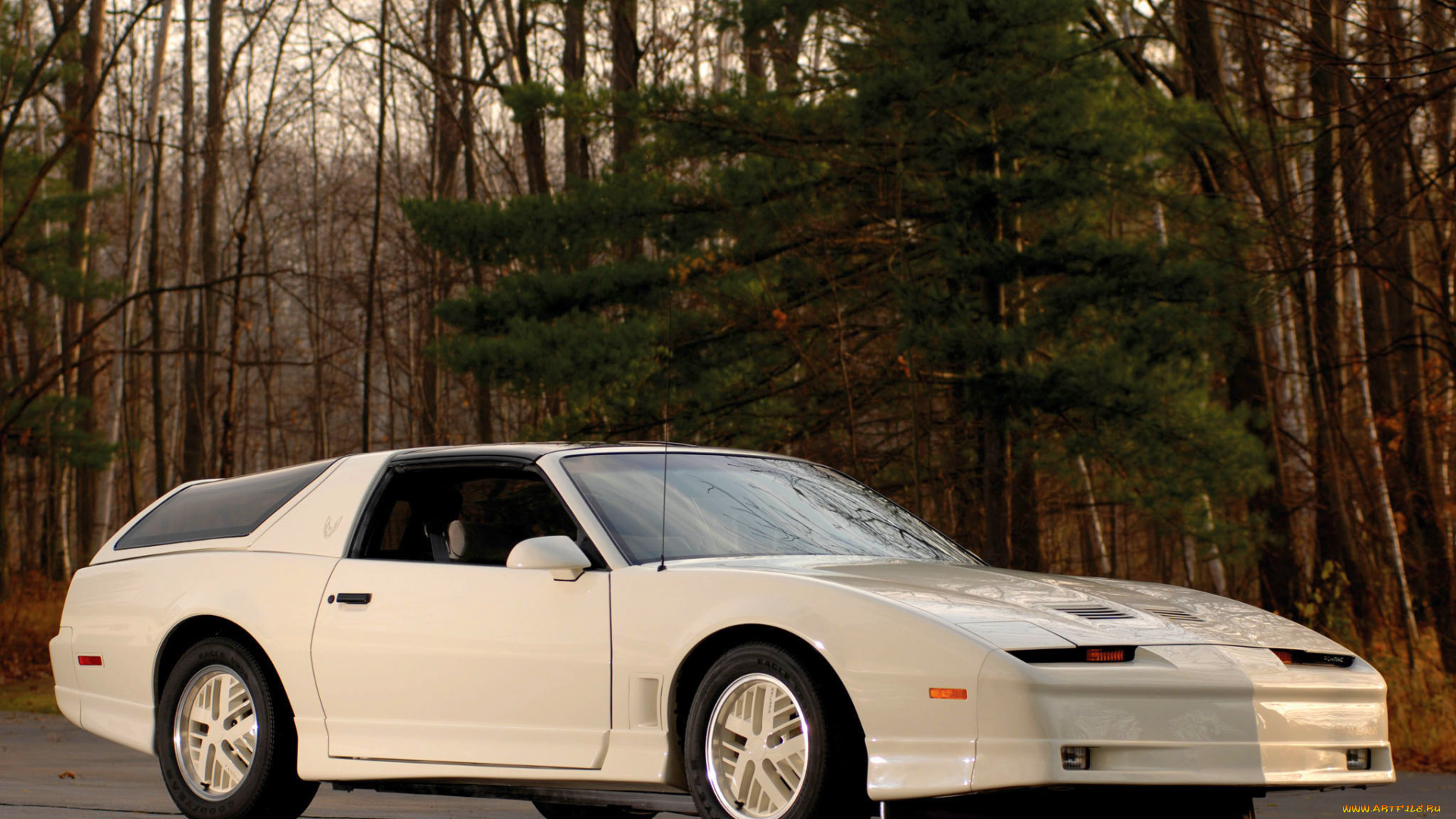 trans, am, experimental, kamm, back, автомобили, pontiac