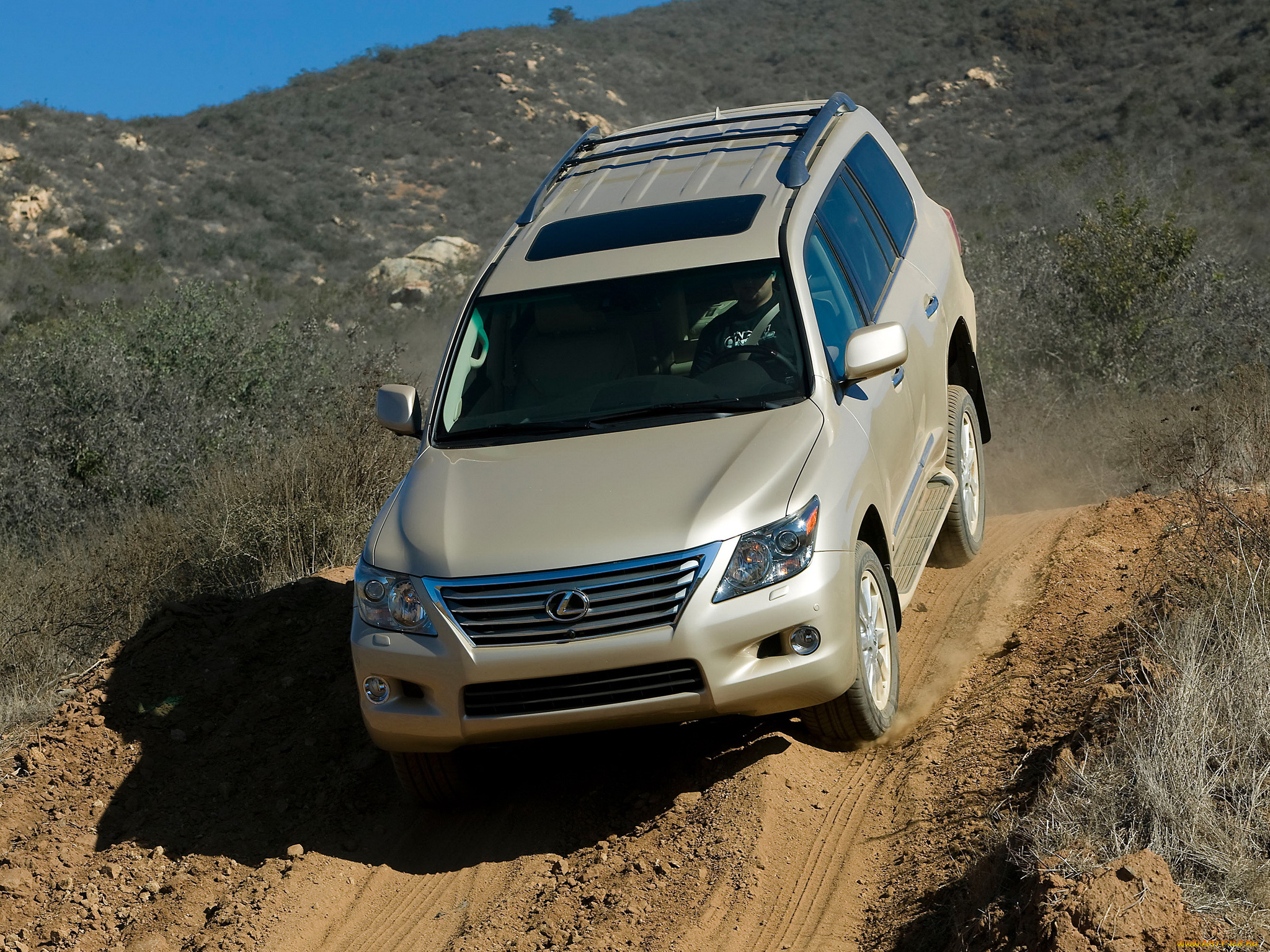 автомобили, lexus