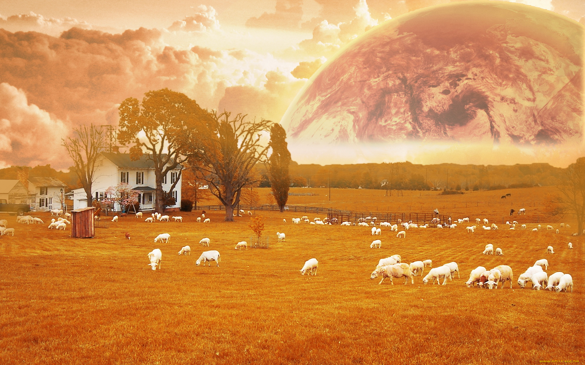 разное, компьютерный, дизайн, планета, дом, поле