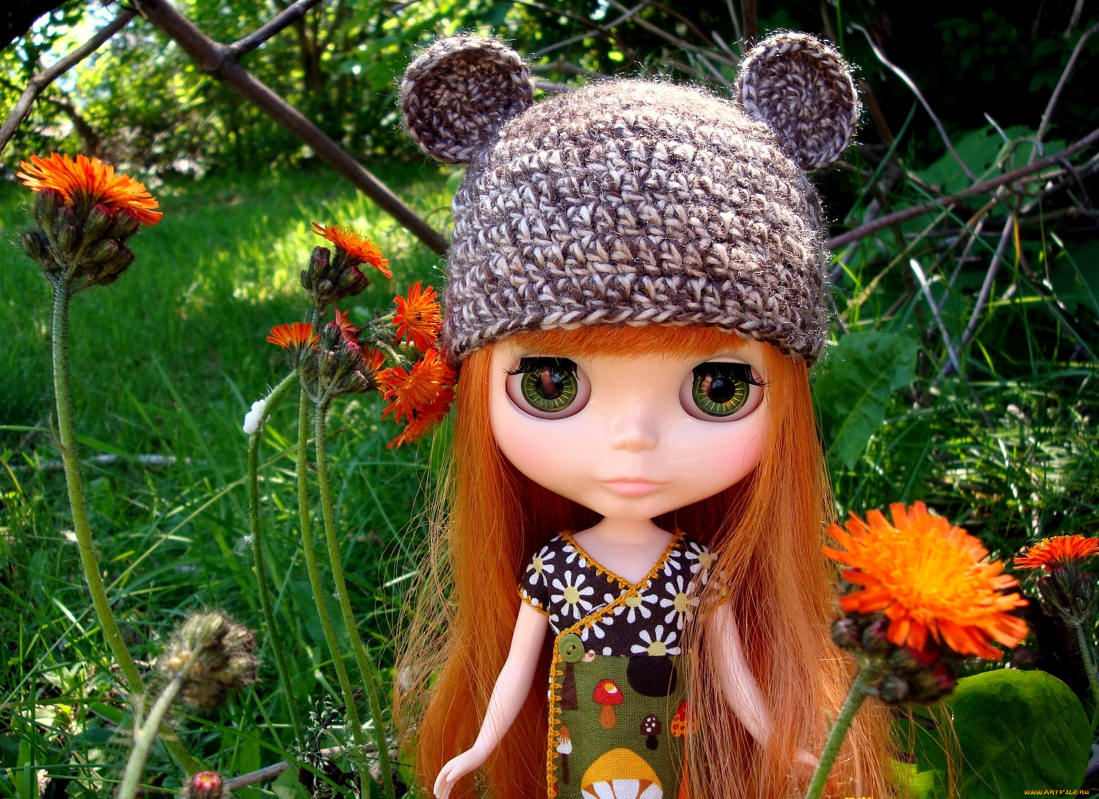 разное, игрушки, кукла, шапочка, рыжий