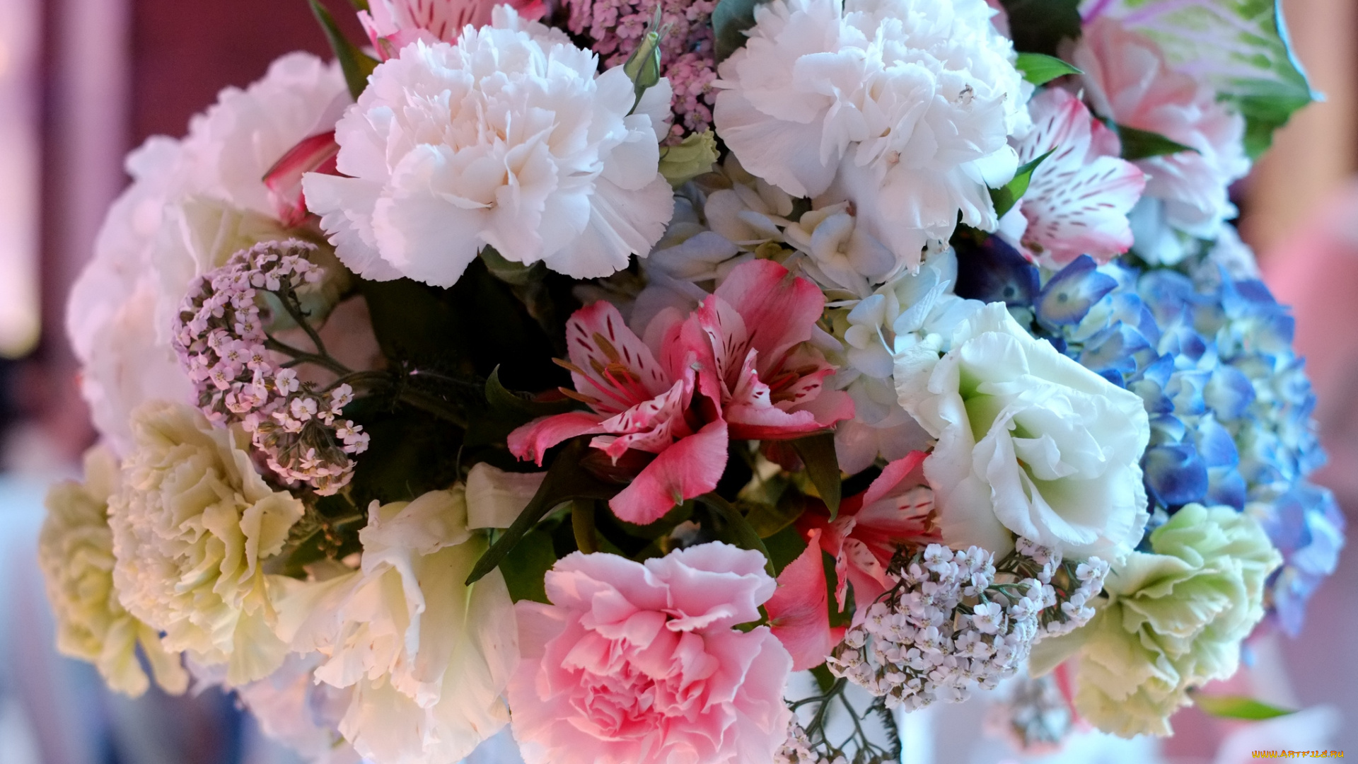 цветы, букеты, композиции, гортензия, альстромерия, гвоздики