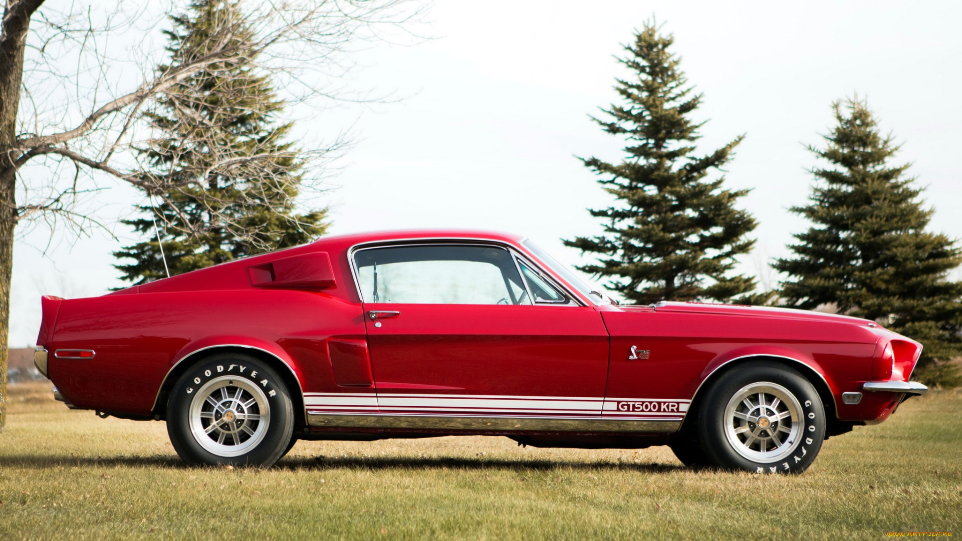 mustang, автомобили, сша, ford, motor, company