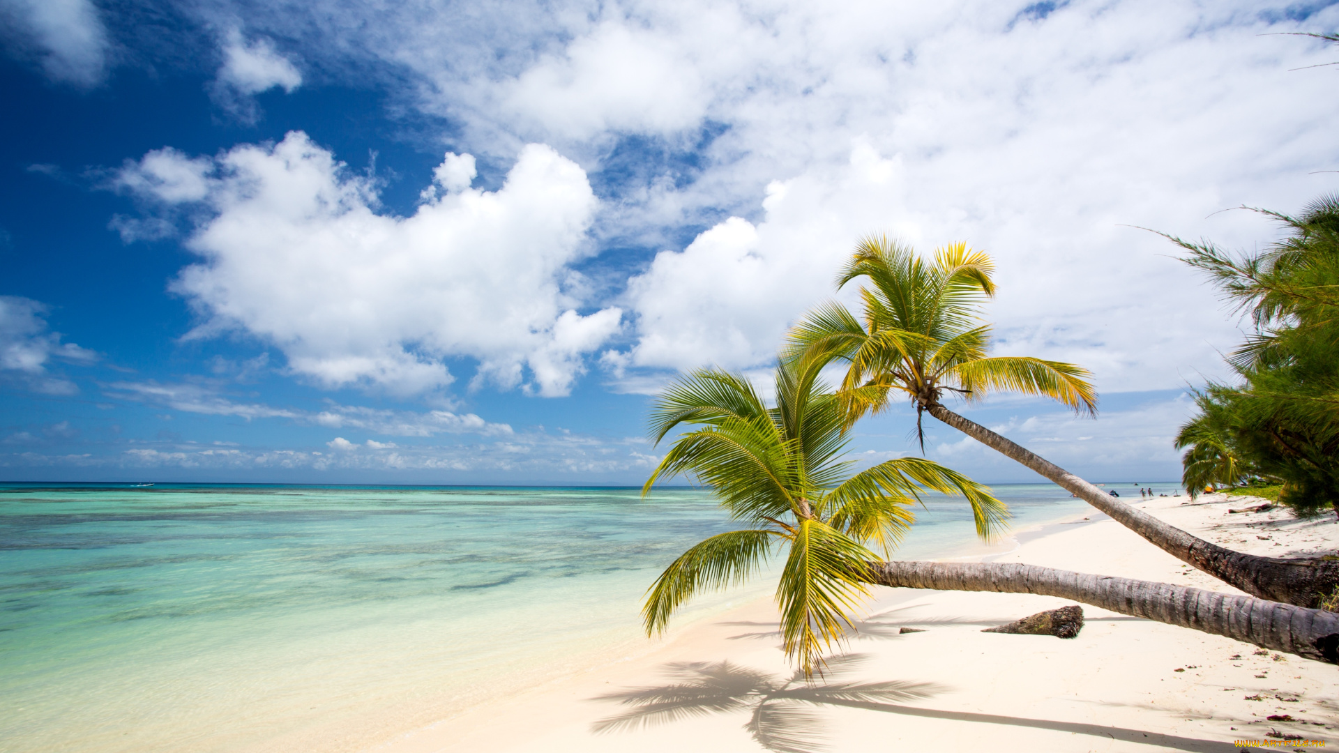 природа, тропики, небо, пальмы, пляж, рай