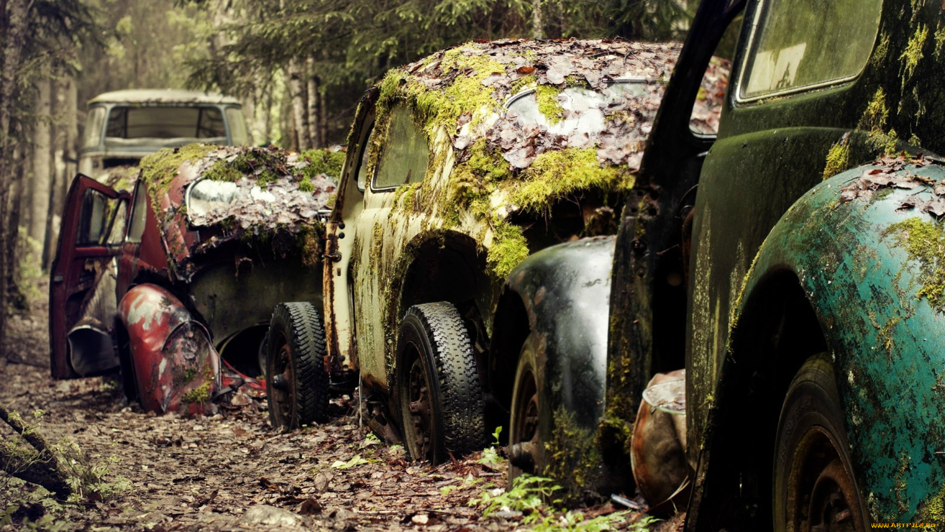 разное, развалины, руины, металлолом, старые, автомобили, ржавчина, листья, мох