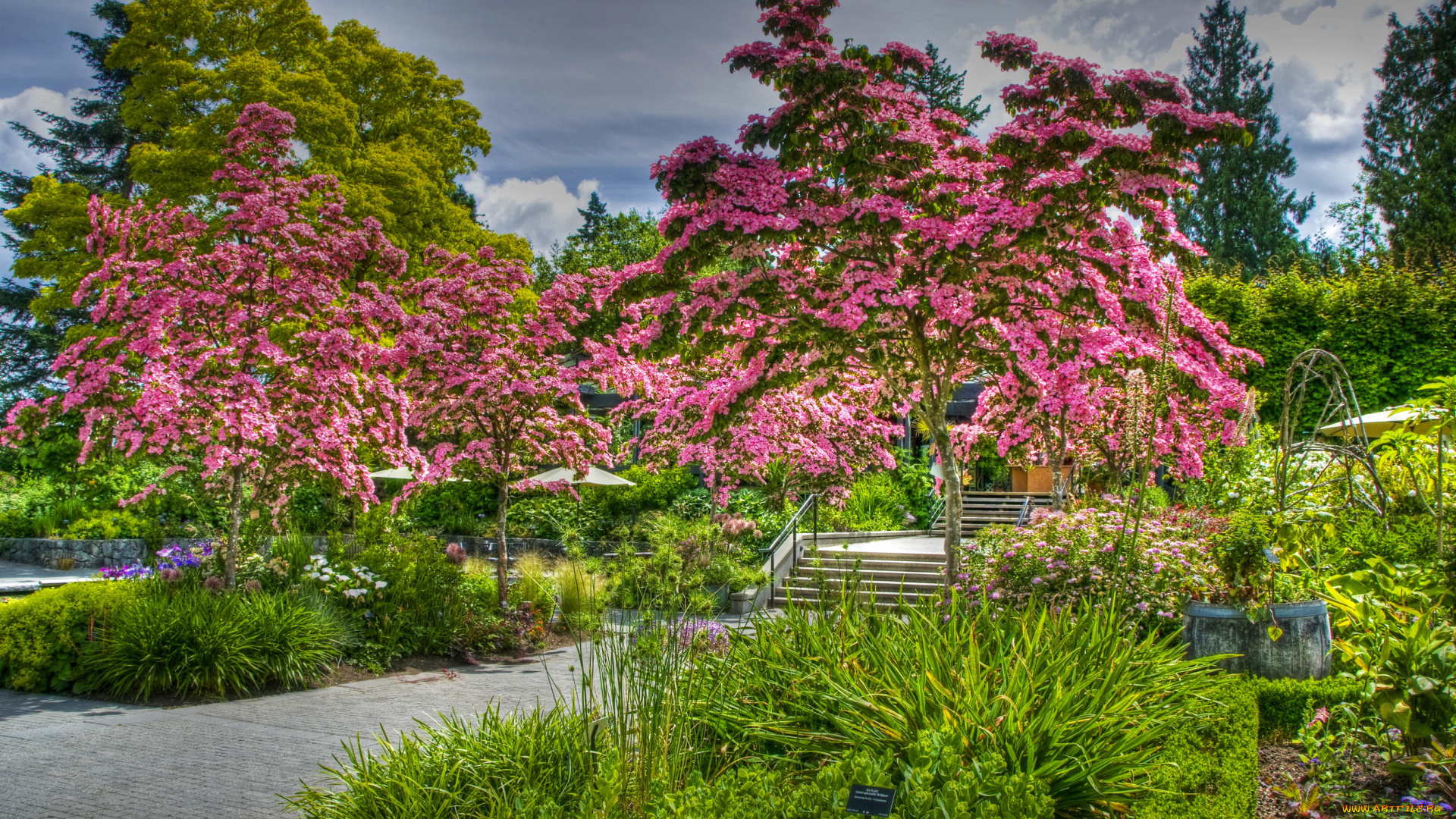 vandusen, botanical, garden, vancouver, канада, природа, парк, растения, сад