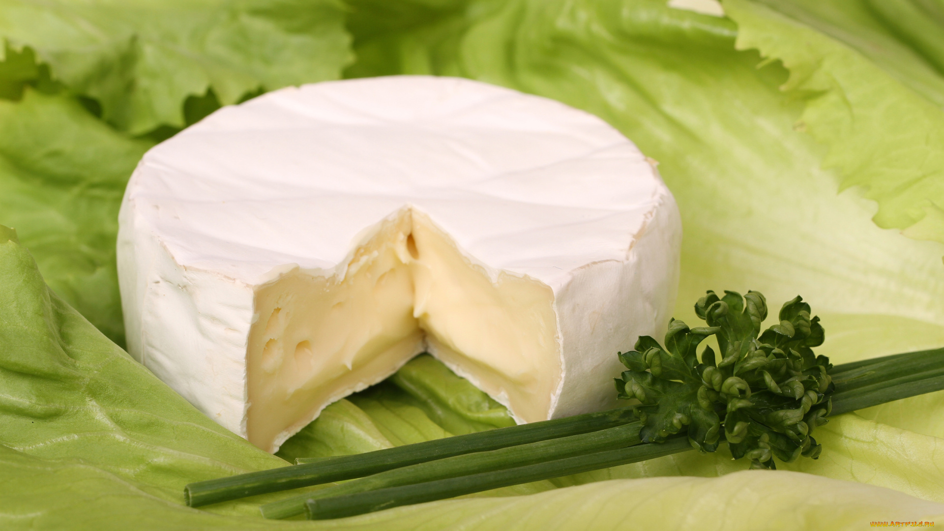 вкусно, еда, сырные, изделия, сыр, зелень, салат